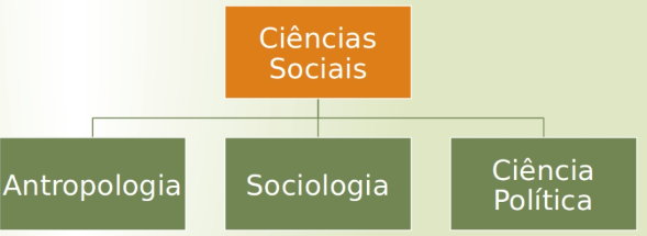 Na foto pode se observar um organograma que mostra a divisão das ênfases do curso de ciências sociais, sendo elas: antropologia, sociologia e ciência política. 